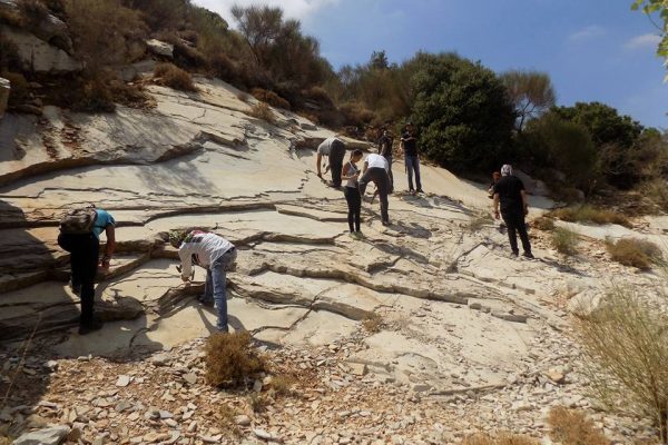 We provide the knowledge and proper tools so you find your fossil.