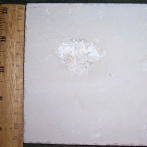 Unidentified 09