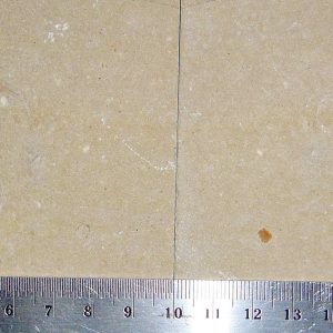 Corazzatocarcinus hadjoulae 03