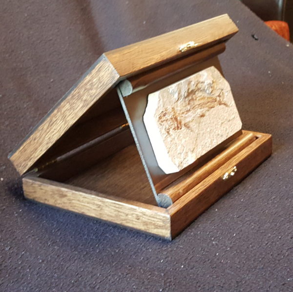 Wooden Box Medium - Image 3