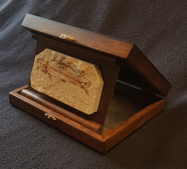 Wooden Box Medium - Image 2